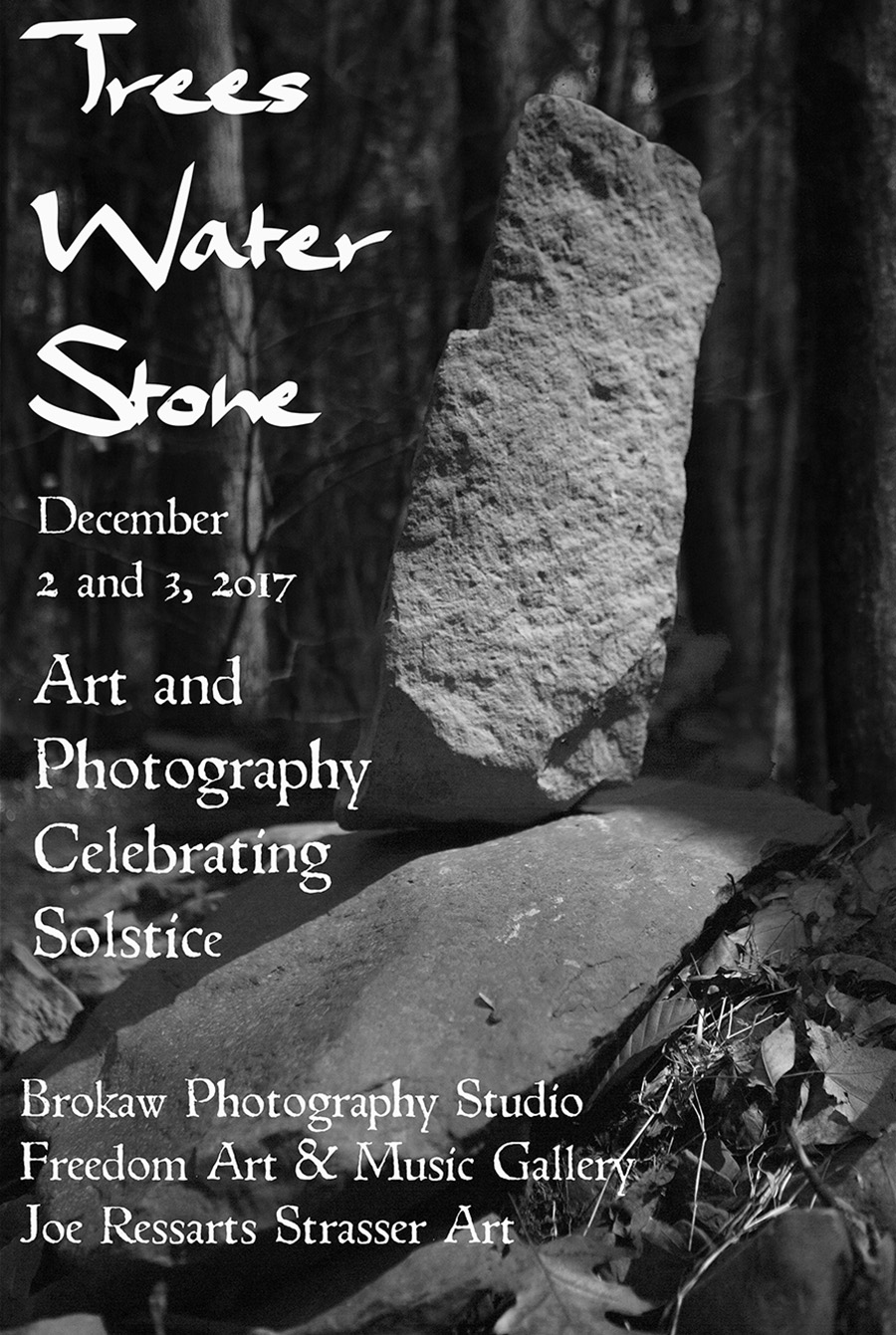 TREES WATER STONE Poster